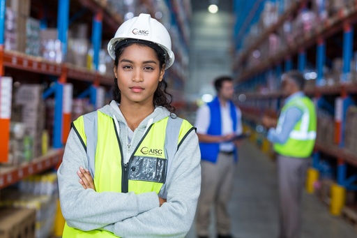 Portal web de operaciones WMS | AISG